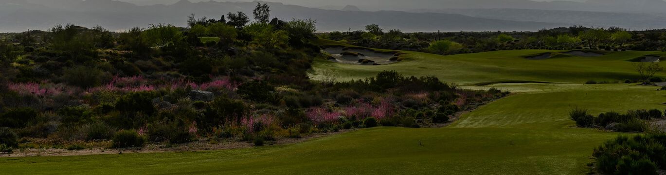 Golf Course Hole View